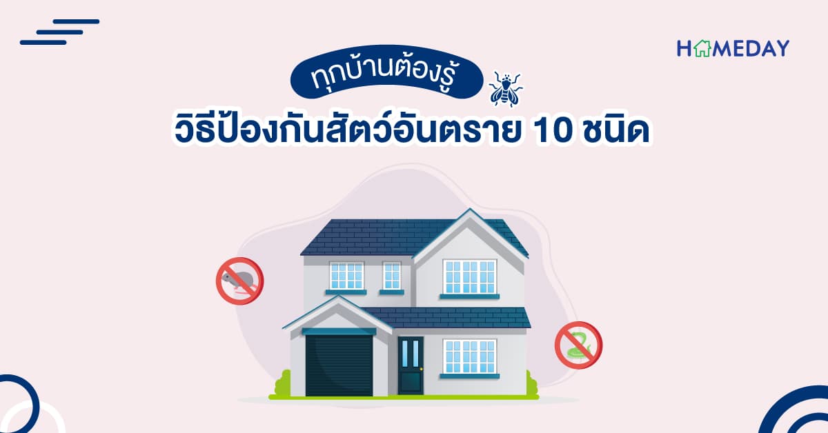 ทุกบ้านต้องรู้! วิธีป้องกันสัตว์อันตราย 10 ชนิด