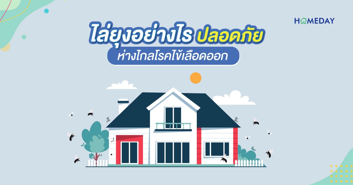 ไล่ยุงอย่างไร ปลอดภัย ห่างไกลโรคไข้เลือดออก