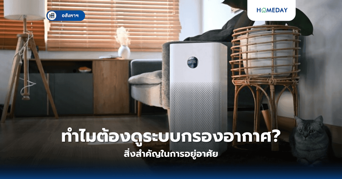 ทำไมต้องดูระบบกรองอากาศ? สิ่งสำคัญในการอยู่อาศัย