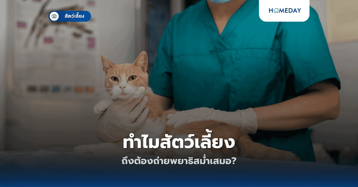 ทำไมสัตว์เลี้ยงถึงต้องถ่ายพยาธิสม่ำเสมอ?