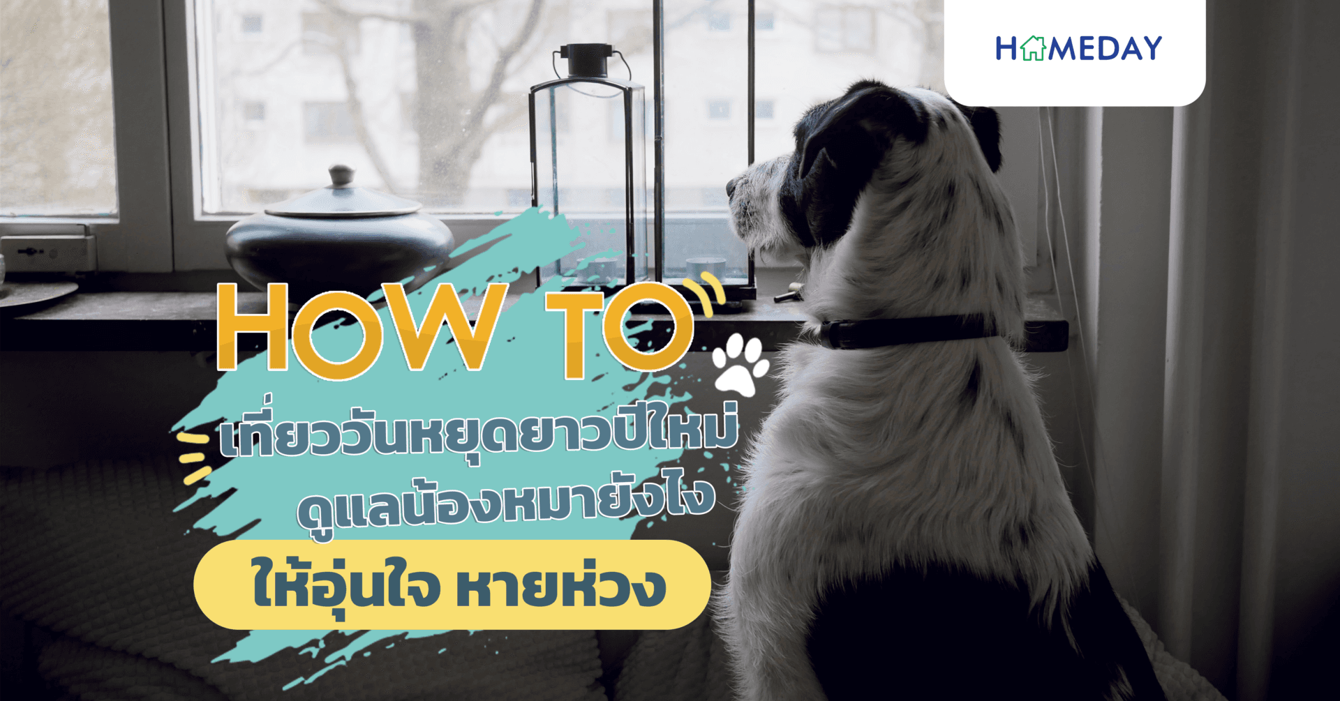 เที่ยววันหยุดยาวปีใหม่ ดูแลน้องหมายังไง ให้อุ่นใจ หายห่วง