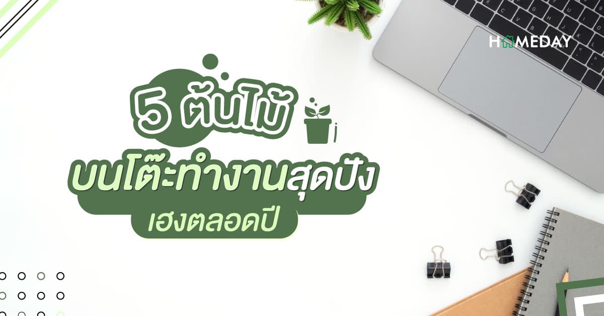 5 ต้นไม้ บนโต๊ะทำงานสุดปัง เฮงตลอดปี