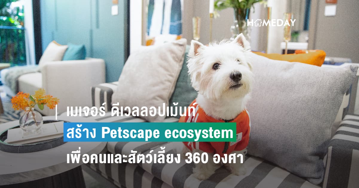 เมเจอร์ ดีเวลลอปเม้นท์ สร้าง Petscape ecosystem เพื่อคนและสัตว์เลี้ยง 360 องศา ส่งมอบความประทับใจทุกกระบวนการตั้งแต่เข้าเยี่ยมชมโครงการจนถึงการอยู่อาศัยจริง