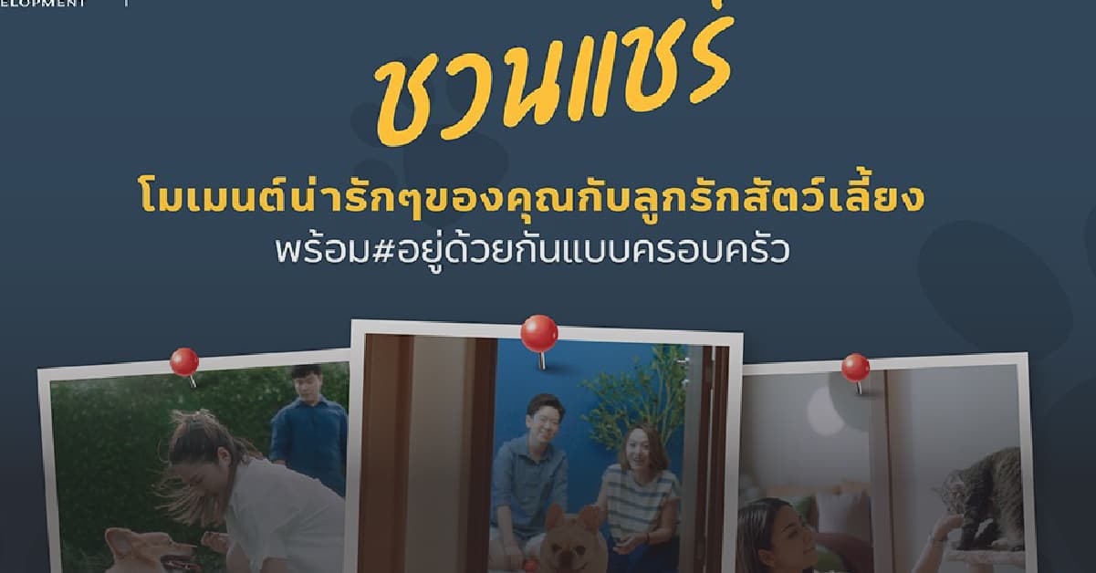 เมเจอร์ ดีเวลลอปเม้นท์ เอาใจ Pet Lover ชวนแชร์โมเมนต์รัก “น้อง” กับแคมเปญ “MAJOR Pet Family Residences สัตว์เลี้ยงคือครอบครัว”