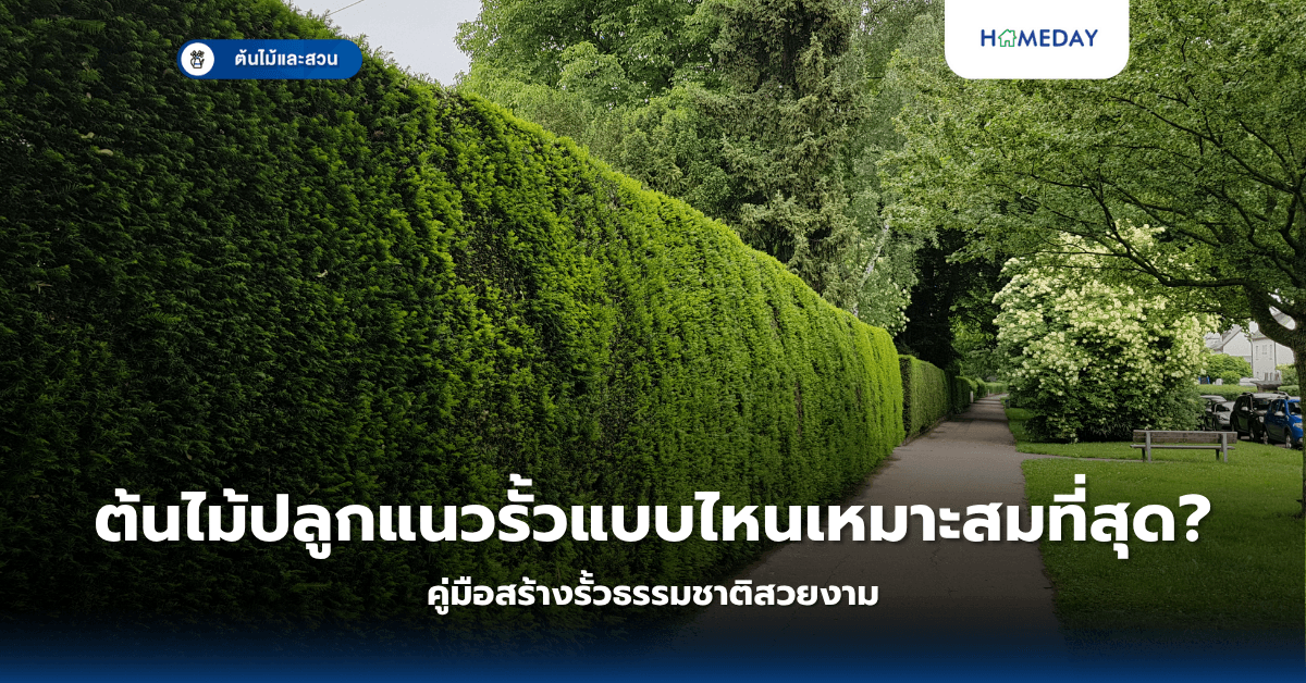 ต้นไม้ปลูกแนวรั้วแบบไหนเหมาะสมที่สุด? คู่มือสร้างรั้วธรรมชาติสวยงาม