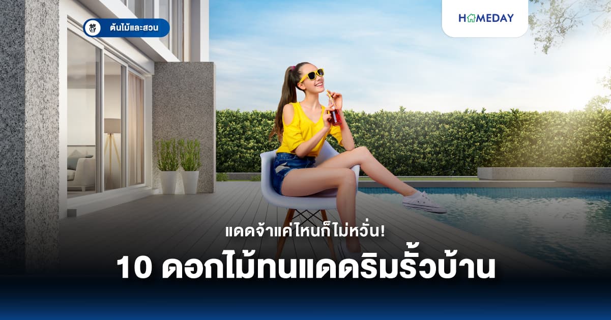 แดดจ้าแค่ไหนก็ไม่หวั่น! กับ 10 ดอกไม้ทนแดดริมรั้วบ้าน