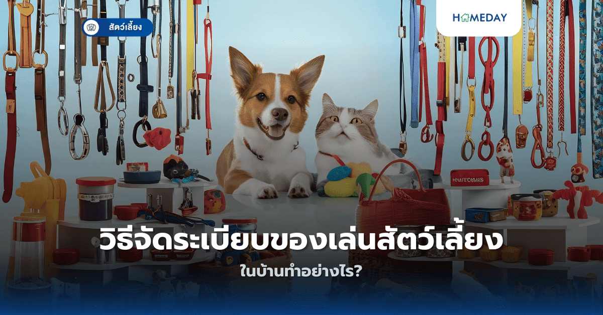 วิธีจัดระเบียบของเล่นสัตว์เลี้ยงในบ้านทำอย่างไร?