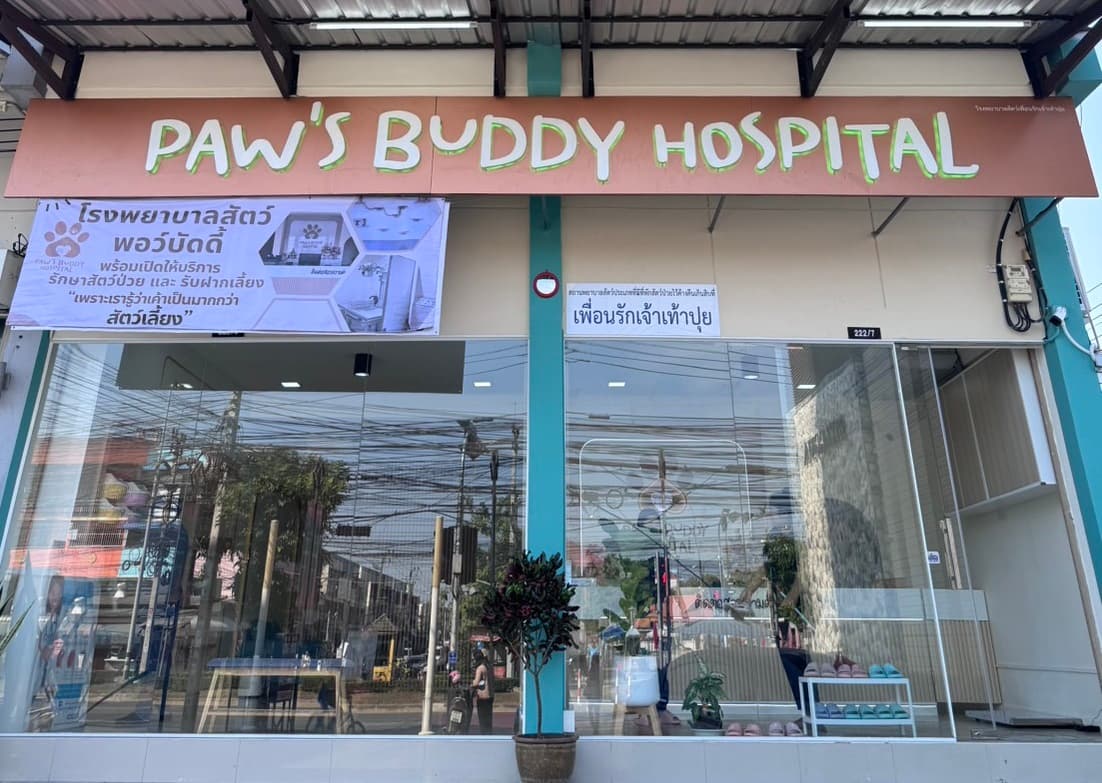 โรงพยาบาลสัตว์ พอว์ บัดดี้ เปิดศูนย์อุบัติเหตุ – ฉุกเฉิน รับกระแส “เจ้าเท้าปุย” คือหนึ่งในสมาชิกของครอบครัว
