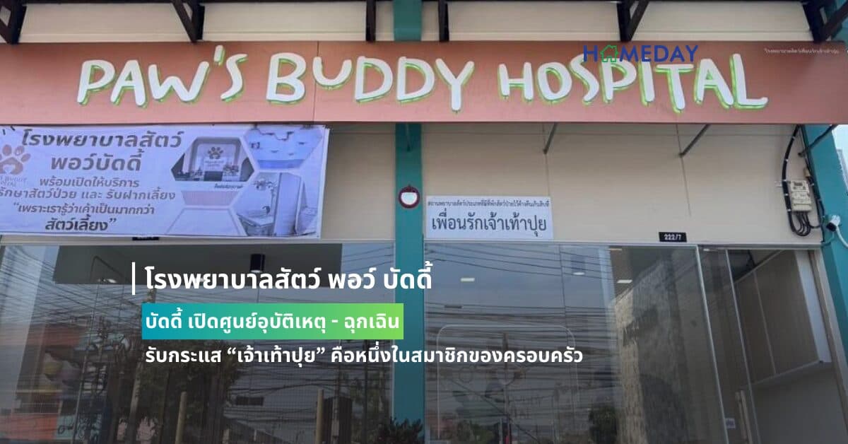 โรงพยาบาลสัตว์ พอว์ บัดดี้ เปิดศูนย์อุบัติเหตุ – ฉุกเฉิน รับกระแส “เจ้าเท้าปุย” คือหนึ่งในสมาชิกของครอบครัว