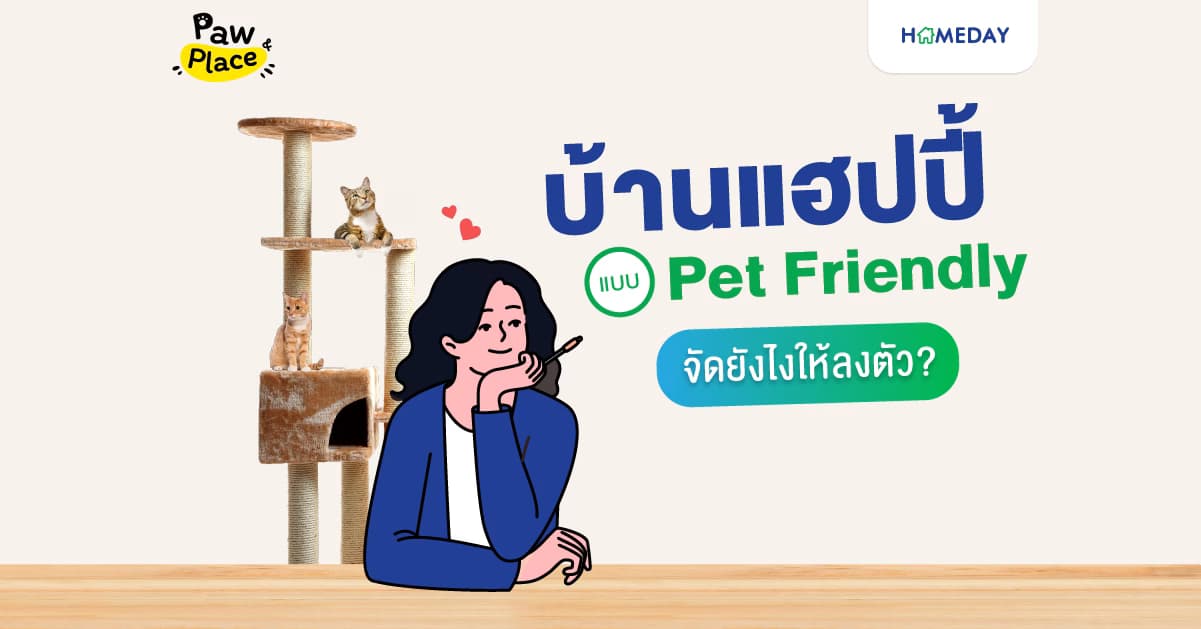 บ้านแฮปปี้แบบ Pet Friendly จัดยังไงให้ลงตัว?