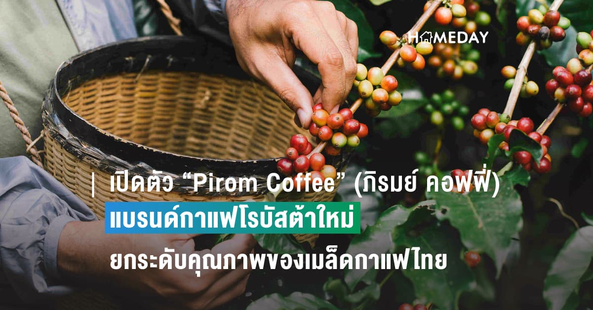 เปิดตัว “Pirom Coffee” (ภิรมย์ คอฟฟี่) แบรนด์กาแฟโรบัสต้าใหม่ ยกระดับคุณภาพของเมล็ดกาแฟไทย ชูผลิตภัณฑ์ไฮไลท์ Fine Robusta เชิญชวนคอกาแฟร่วมสัมผัสรสชาติแก่นแท้ครั้งแรกที่งาน Thailand Coffee Fest 2023