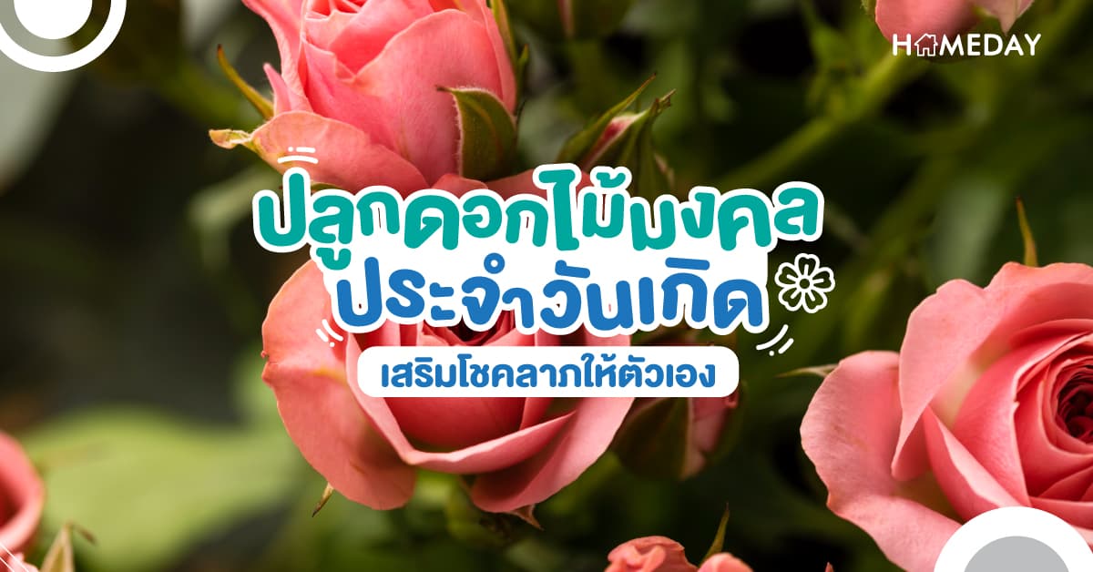 ปลูกดอกไม้มงคลประจำวันเกิด เสริมโชคลาภให้ตัวเอง