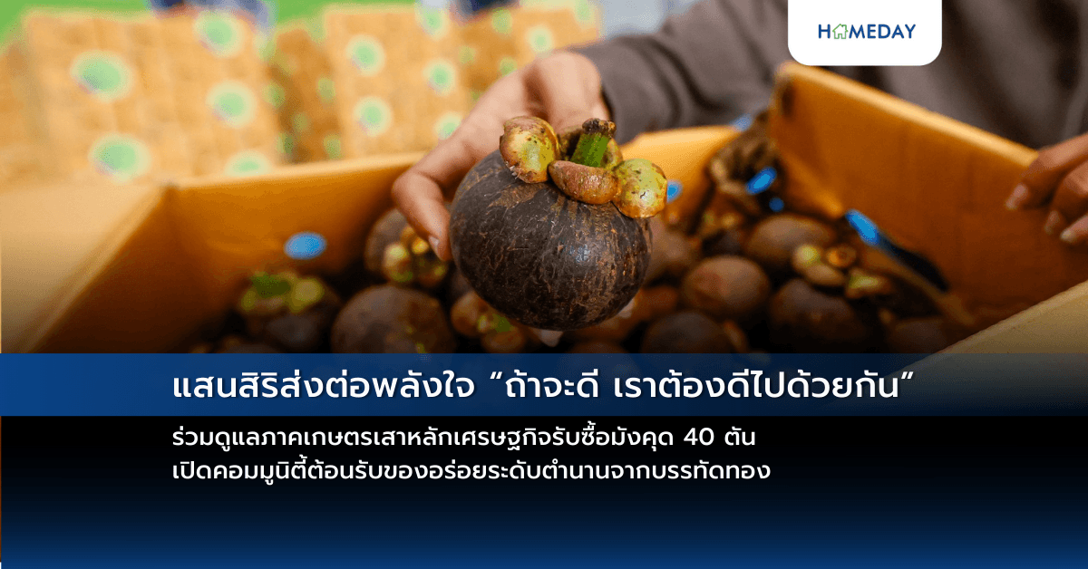 แสนสิริส่งต่อพลังใจ “ถ้าจะดี เราต้องดีไปด้วยกัน” ร่วมดูแลภาคเกษตรเสาหลักเศรษฐกิจรับซื้อมังคุด 40 ตัน เปิดคอมมูนิตี้ต้อนรับของอร่อยระดับตำนานจากบรรทัดทอง
