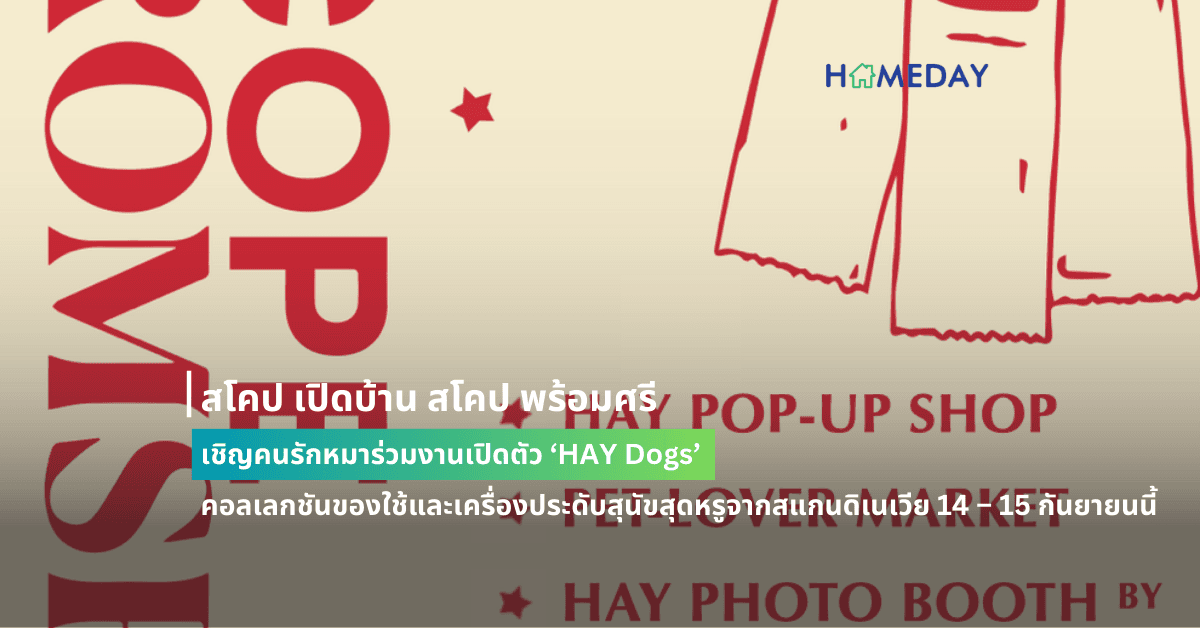 สโคป เปิดบ้าน สโคป พร้อมศรี เชิญคนรักหมาร่วมงานเปิดตัว ‘HAY Dogs’ คอลเลกชันของใช้และเครื่องประดับสุนัขสุดหรูจากสแกนดิเนเวีย 14 – 15 กันยายนนี้