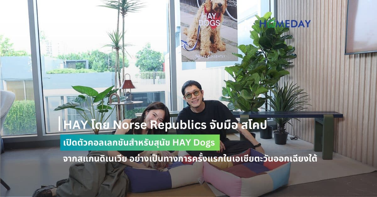 HAY โดย Norse Republics จับมือ สโคป เปิดตัวคอลเลกชันสำหรับสุนัข HAY Dogs จากสแกนดิเนเวีย อย่างเป็นทางการครั้งแรกในเอเชียตะวันออกเฉียงใต้