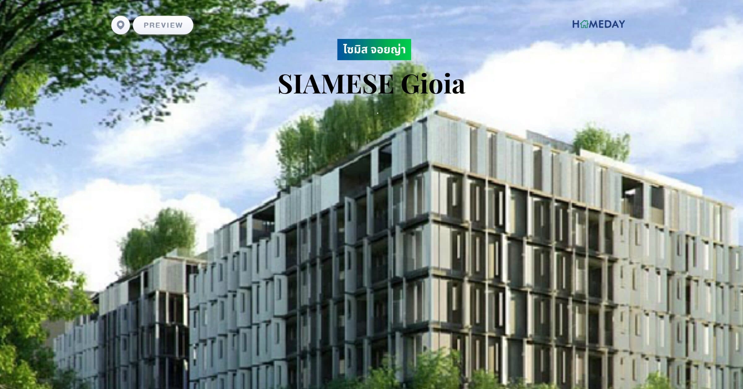 พรีวิว ไซมิส จอยญ่า (SIAMESE Gioia)