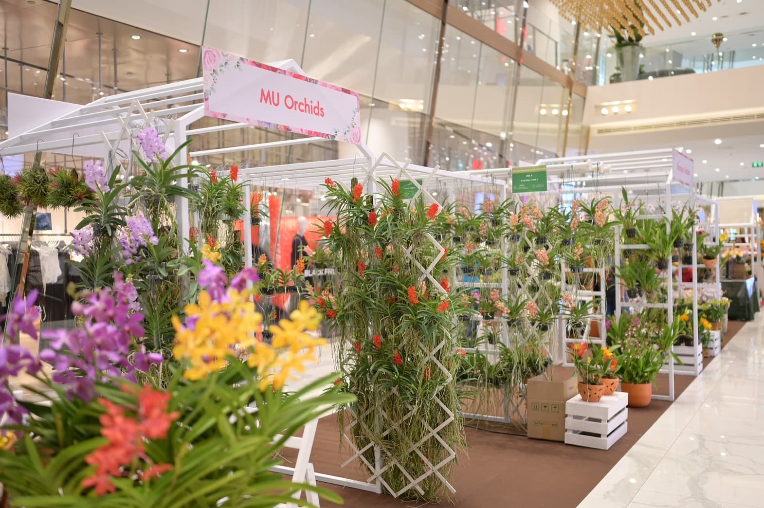 สยาม ทาคาชิมายะ จับมือ ไอคอนสยาม ร่วมฉลองครบรอบ 5 ปี จัดงาน “IKEBANA and Flower Show”