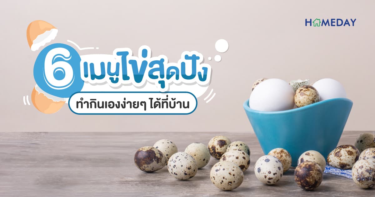 6 เมนูไข่สุดปัง ทำกินเองง่ายๆ ได้ที่บ้าน