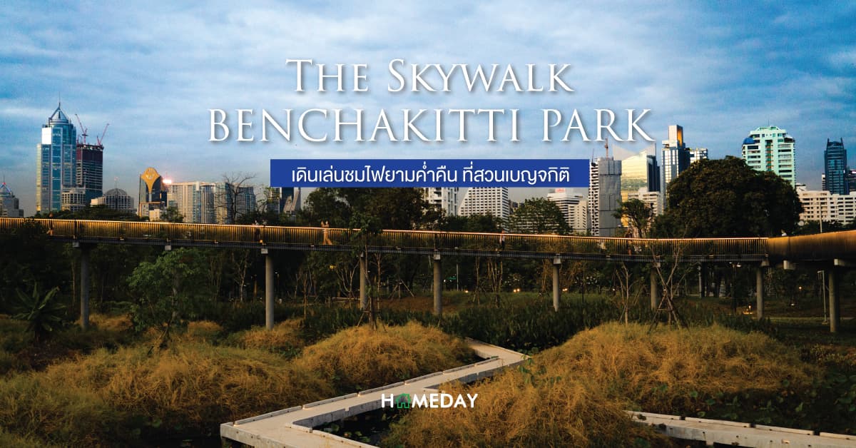 The Skywalk at Benchakitti Park เดินเล่นชมไฟยามค่ำคืน ที่สวนเบญจกิติ