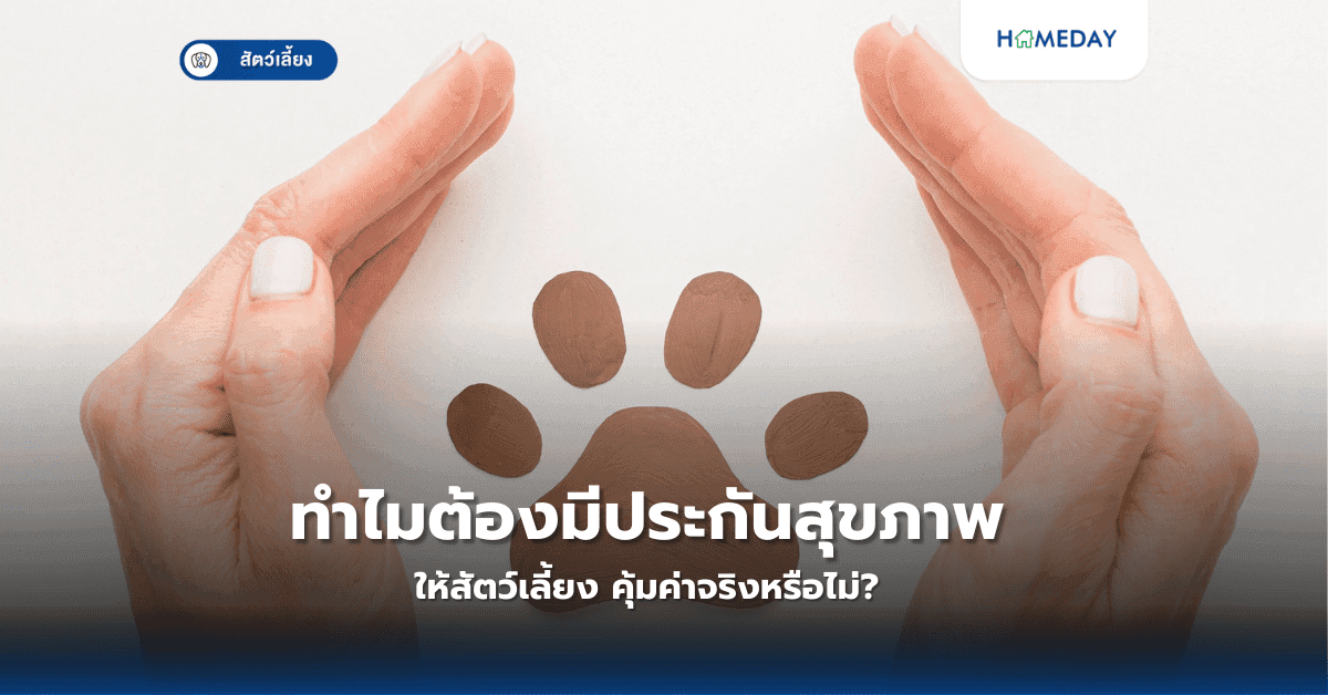 ทำไมต้องมีประกันสุขภาพให้สัตว์เลี้ยง คุ้มค่าจริงหรือไม่?