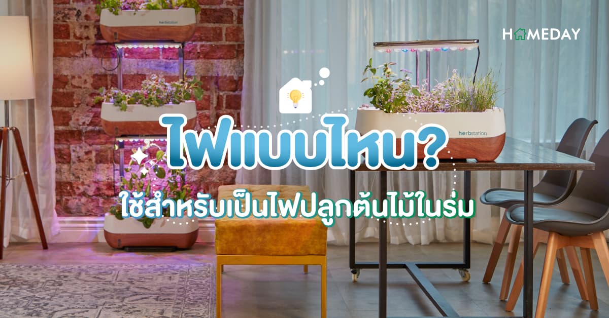 ไฟแบบไหน? ใช้สำหรับเป็นไฟปลูกต้นไม้ในร่ม