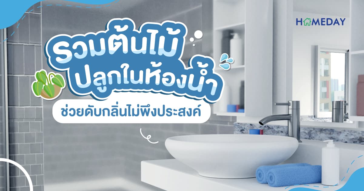 รวมต้นไม้ปลูกในห้องน้ำ ช่วยดับกลิ่นไม่พึงประสงค์