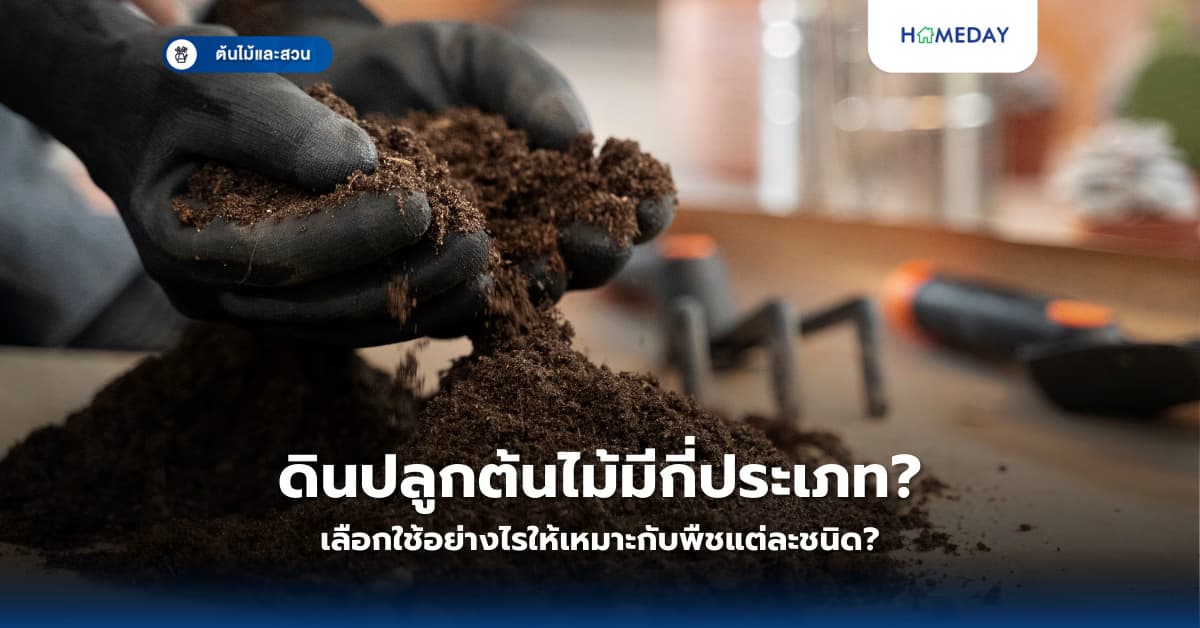 ดินปลูกต้นไม้มีกี่ประเภท? เลือกใช้อย่างไรให้เหมาะกับพืชแต่ละชนิด?