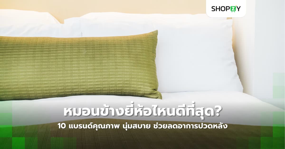 หมอนข้างยี่ห้อไหนดีที่สุด? 10 แบรนด์คุณภาพ นุ่มสบาย ช่วยลดอาการปวดหลัง