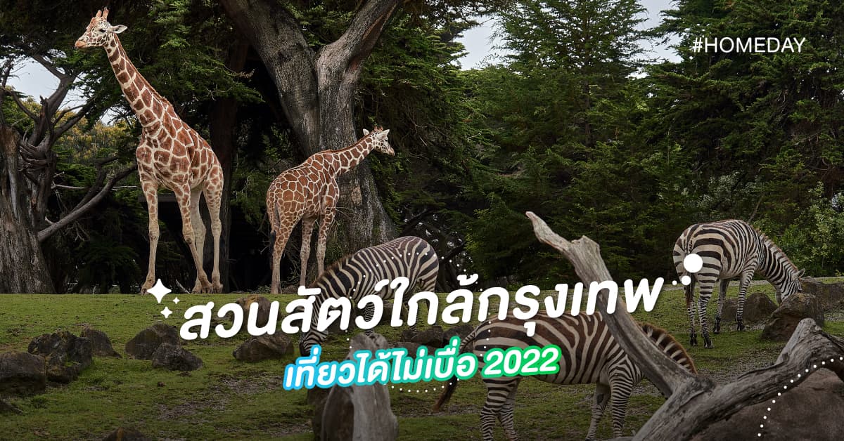สวนสัตว์ใกล้กรุงเทพ เที่ยวได้ไม่เบื่อ 2022