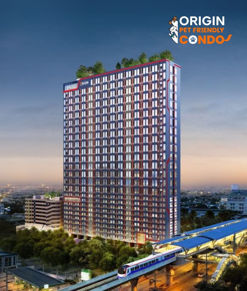 ออริจิ้น ปลั๊ก & เพลย์ อี22 สเตชั่น (Origin Plug & Play E22 Station)