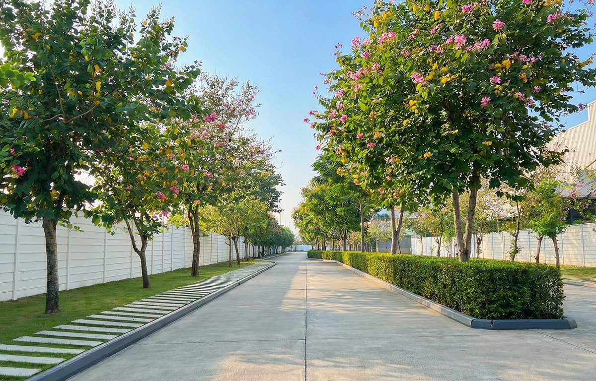 ฟอร์เร่ (ทาวน์โฮม) ปิ่นเกล้า - พุทธมณฑล สาย 5 (Foret Pinklao - Phutthamonthon Sai 5)