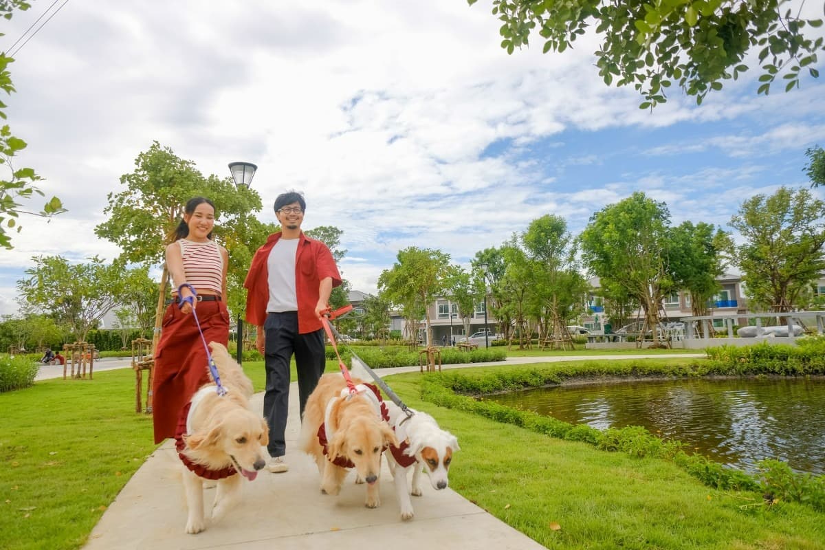 พลีโน่ เพชรเกษม 91 (Pleno Phetkasem 91)