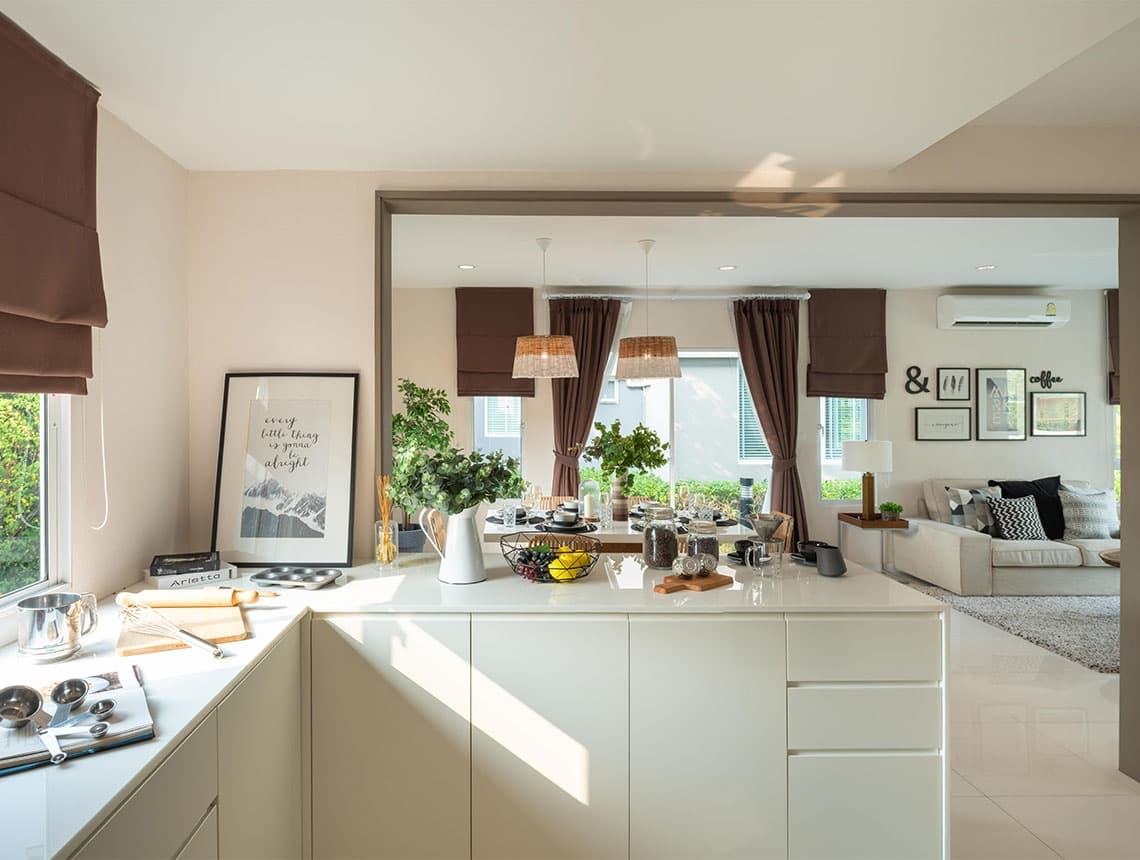 เดอะ แพลนท์ กาญจนาภิเษก-บางใหญ่ (The Plant Kanchana-Bangyai)