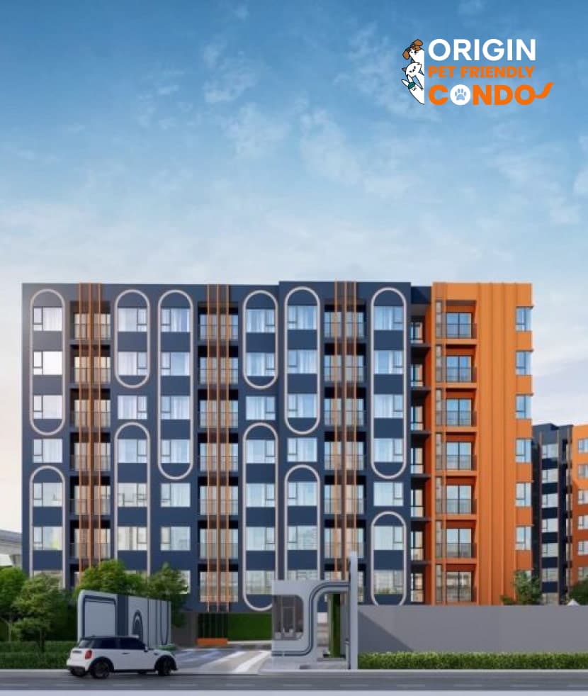 บริกซ์ตัน เพ็ท & เพลย์ พหลโยธิน 50 สเตชั่น (Brixton Pet & Play Phahol 50 Station)