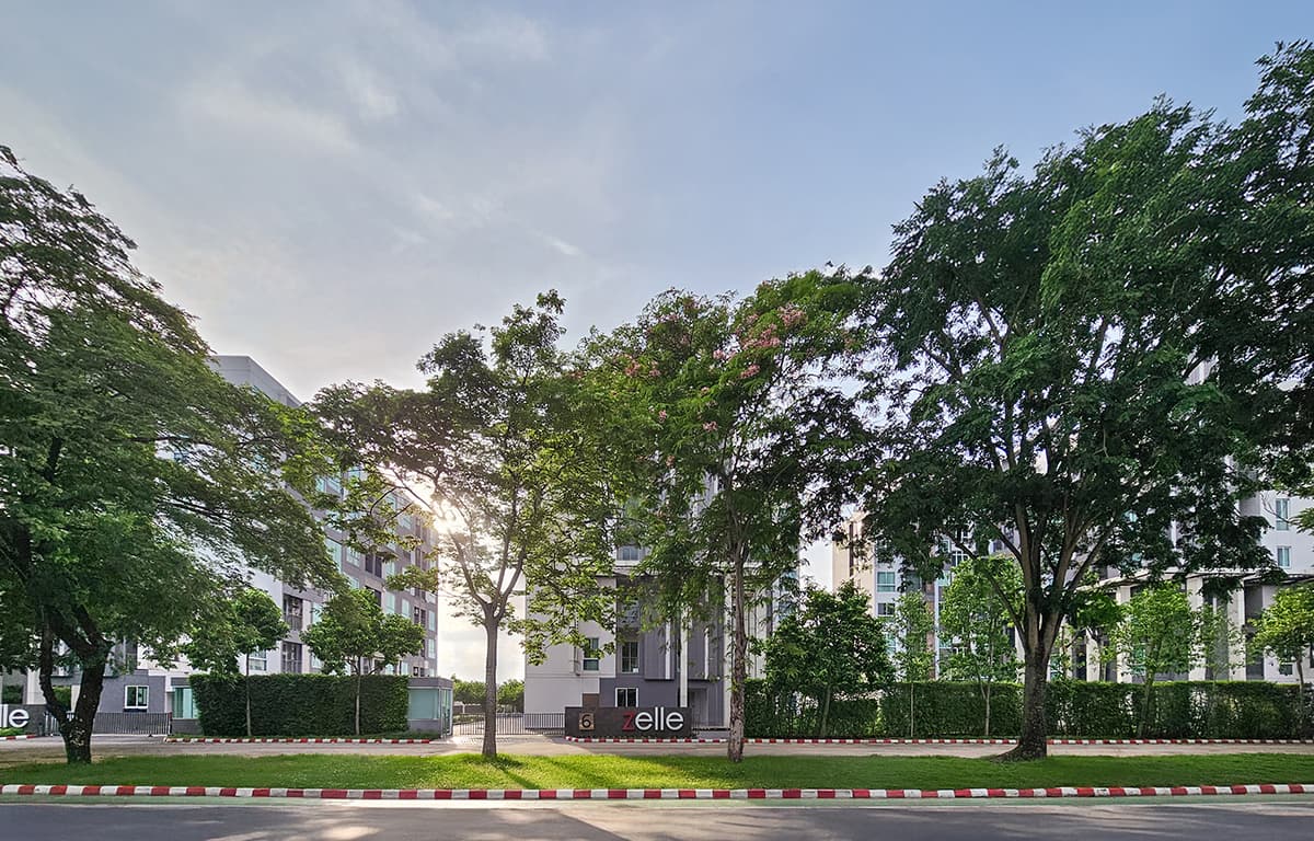 เซล ศาลายา (Zelle Salaya)