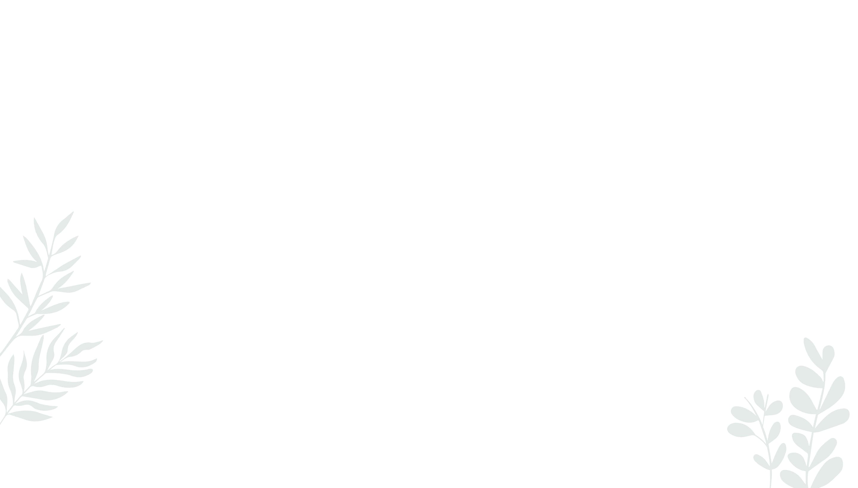 ชัยพฤกษ์ เพชรเกษม 69 (CHAIYAPRUEK Phetkasem 69)