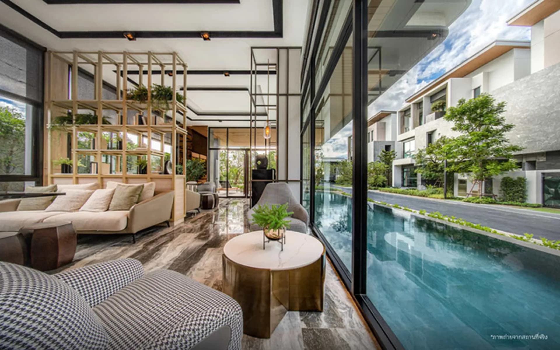 เดอะ เจนทริ คัลทิวาร์ พระราม 9 (The Gentry Cultivar Rama 9)