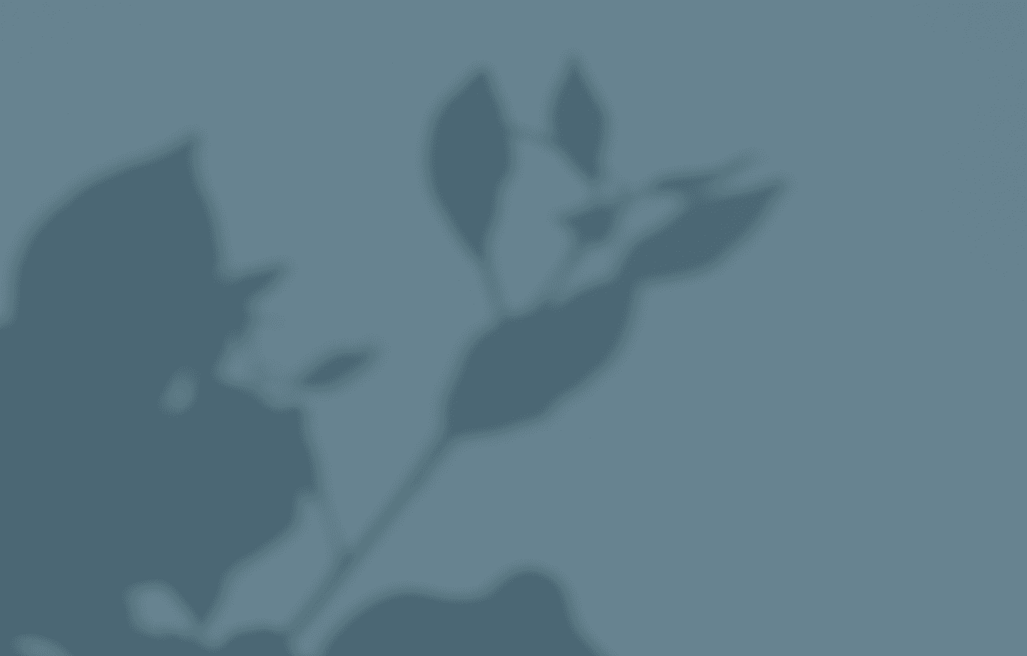 ชลลดา แลนด์ แอนด์ เฮ้าส์ พาร์ค เชียงใหม่ (Chollada Land and Houses Park Chiang Mai)