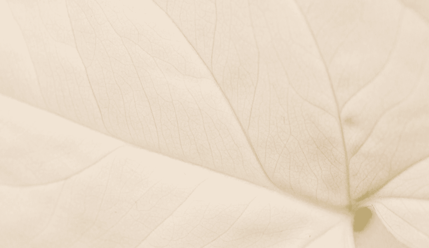 ชลลดา แลนด์ แอนด์ เฮ้าส์ พาร์ค เชียงใหม่ (Chollada Land and Houses Park Chiang Mai)