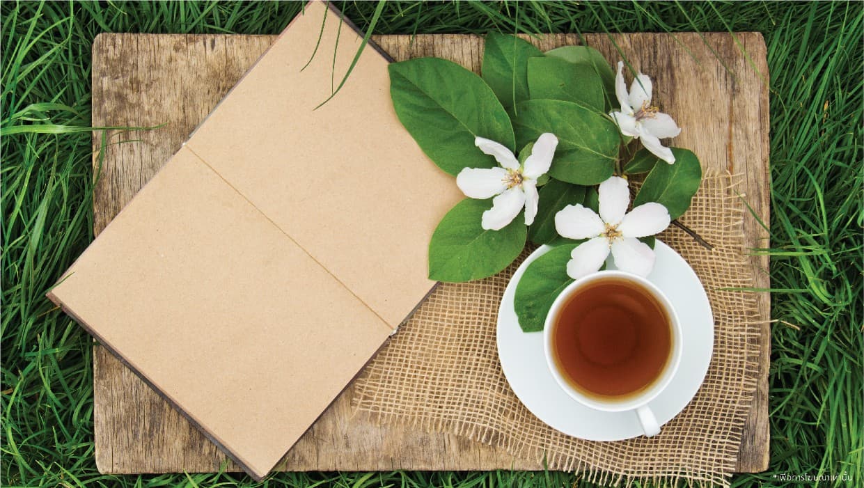 พฤกษาวิลล์ ดอนเมือง-สรงประภา (Pruksa Ville Donmuang-Songprapa)