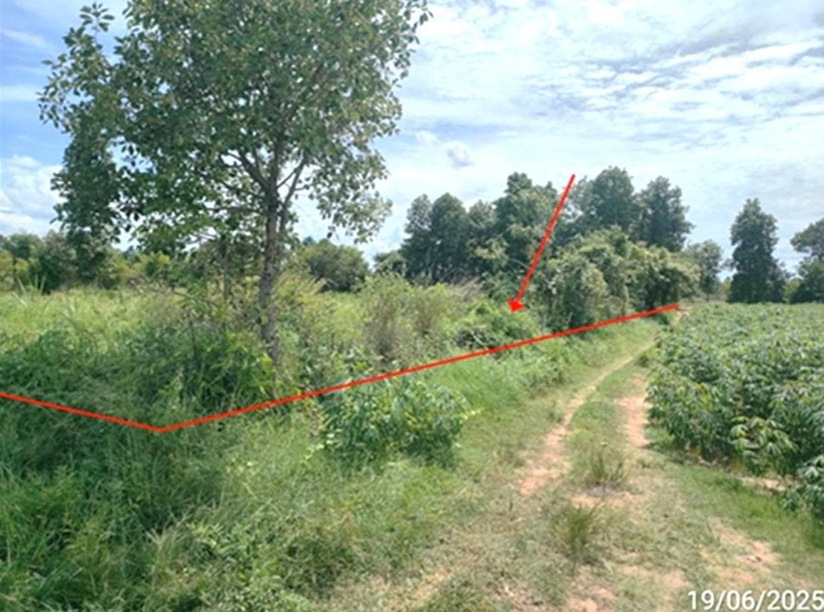 ขายที่ดินเปล่า นาเชือก มหาสารคาม เนื้อที่ 78 ตร.ว. ทำเลสงบ เหมาะสร้างบ้านพักอาศัย