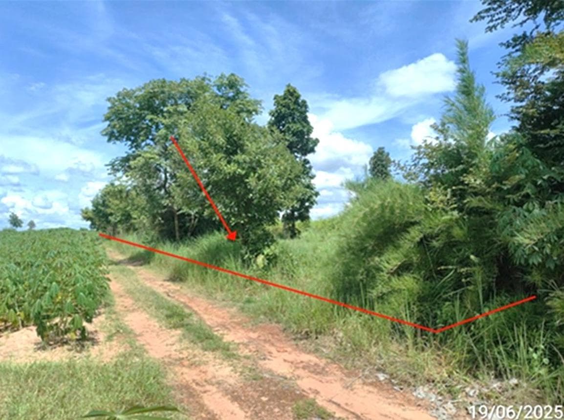 ขายที่ดินเปล่า นาเชือก มหาสารคาม เนื้อที่ 78 ตร.ว. ทำเลสงบ เหมาะสร้างบ้านพักอาศัย