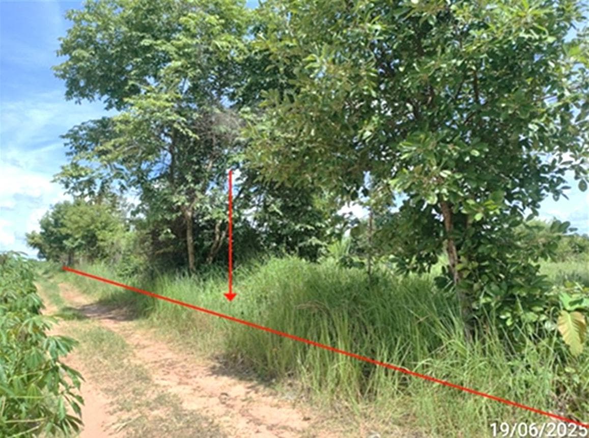 ขายที่ดินเปล่า นาเชือก มหาสารคาม เนื้อที่ 78 ตร.ว. ทำเลสงบ เหมาะสร้างบ้านพักอาศัย