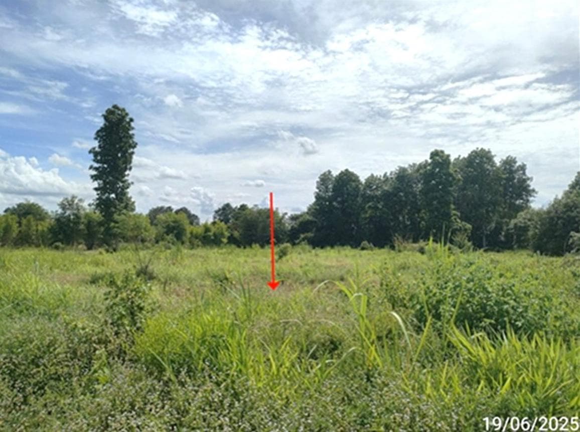 ขายที่ดินเปล่า นาเชือก มหาสารคาม เนื้อที่ 78 ตร.ว. ทำเลสงบ เหมาะสร้างบ้านพักอาศัย