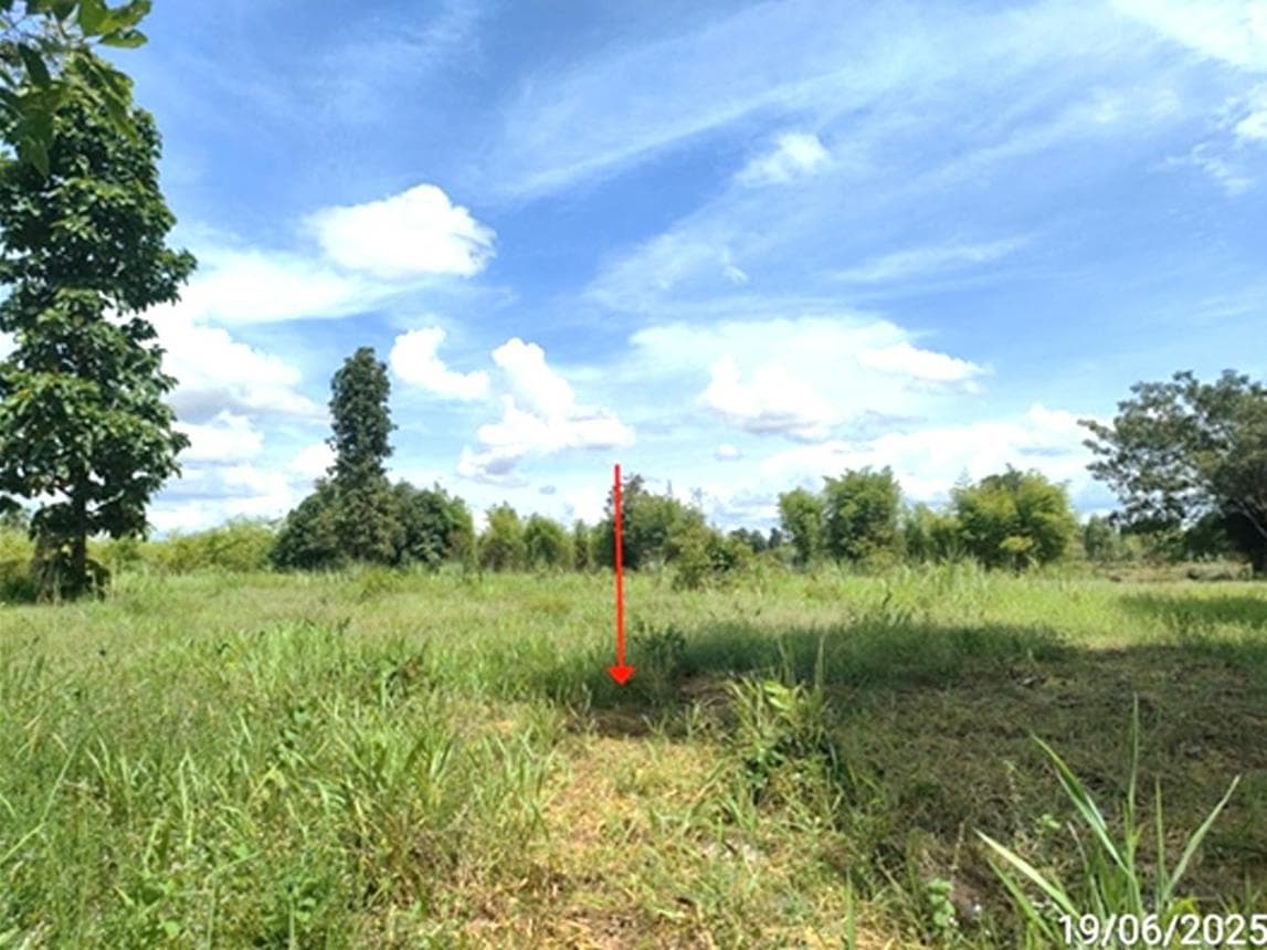 ขายที่ดินเปล่า นาเชือก มหาสารคาม เนื้อที่ 78 ตร.ว. ทำเลสงบ เหมาะสร้างบ้านพักอาศัย