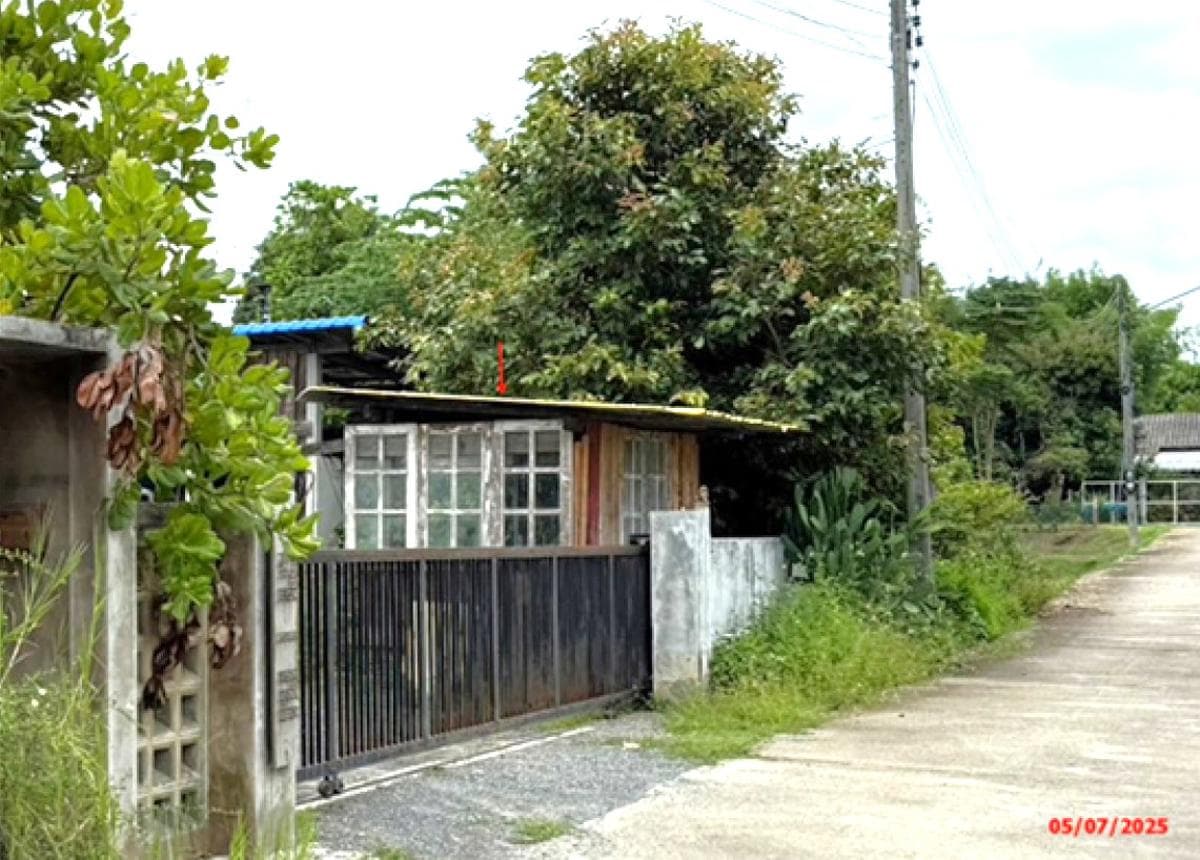 บ้านเดี่ยว ป่าป้อง ดอยสะเก็ด เชียงใหม่ 3 ห้องนอน 3 ห้องน้ำ พื้นที่ใช้สอย 131 ตร.ม. บนที่ดินกว้าง 76 ตร.ว. บรรยากาศรีสอร์ต วิวธรรมชาติ