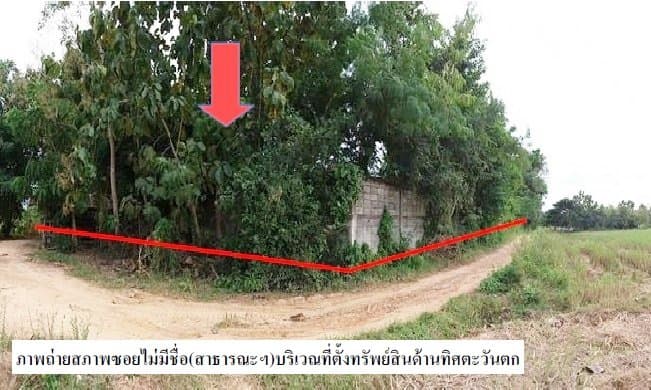 ที่ดินว่างเปล่า แม่ยางโทน ร้องกวาง-แพร่
