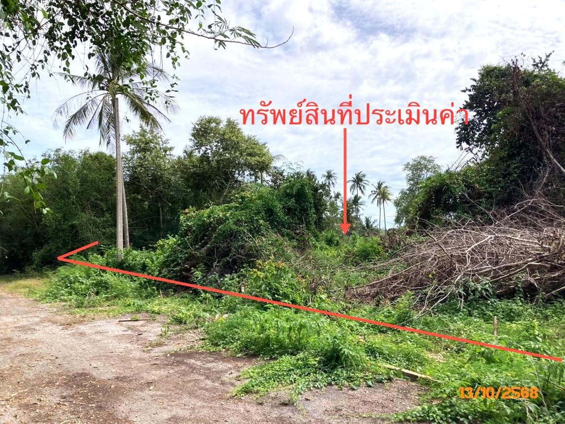 ที่ดินว่างเปล่า ดอนสัก สุราษฎร์ธานี เนื้อที่ 4 ไร่ ทำเลศักยภาพใกล้แหล่งท่องเที่ยวและจุดเชื่อมต่อท่าเรือสำคัญ ราคาพิเศษ 1.27 ล้าน