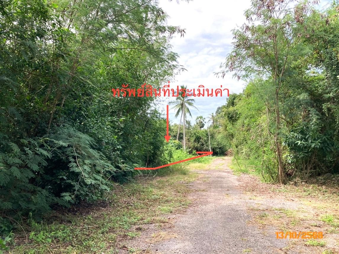 ที่ดินว่างเปล่า ดอนสัก สุราษฎร์ธานี เนื้อที่ 4 ไร่ ทำเลศักยภาพใกล้แหล่งท่องเที่ยวและจุดเชื่อมต่อท่าเรือสำคัญ ราคาพิเศษ 1.27 ล้าน