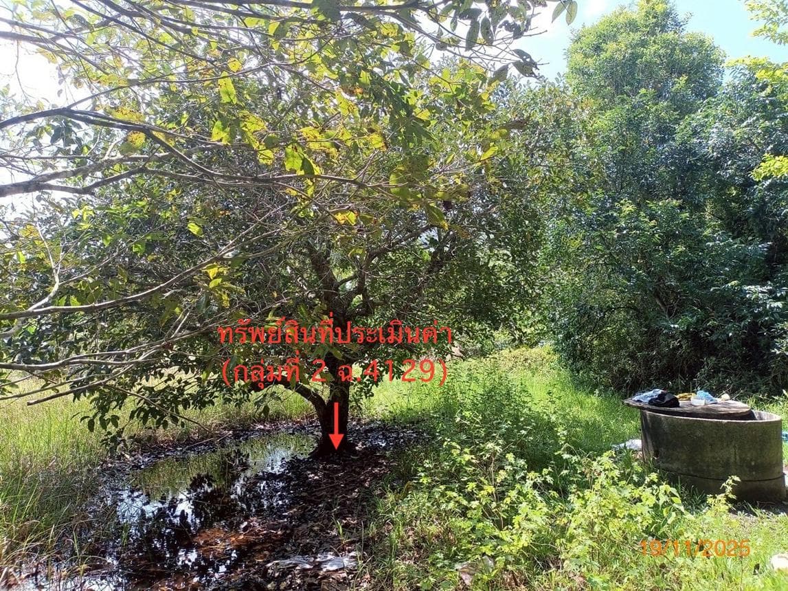 ที่ดินเปล่า พื้นที่ 57 ตร.ว. ทำเลศักยภาพ ศาลาด่าน เกาะลันตา กระบี่
